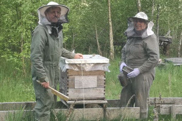 20 maja – Światowy Dzień Pszczół
